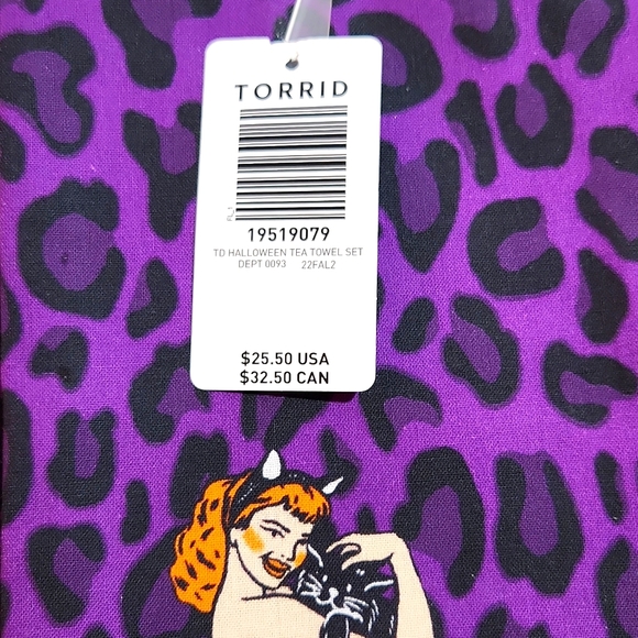 ❤️NWT VINTAGE TORRID HALLOWEEN DECOR KITCHEN TEA TOWEL DUO SEXY PINUP DECORATION - Picture 4 of 9